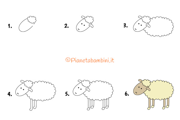 Passaggi per disegnare una pecora in maniera facile