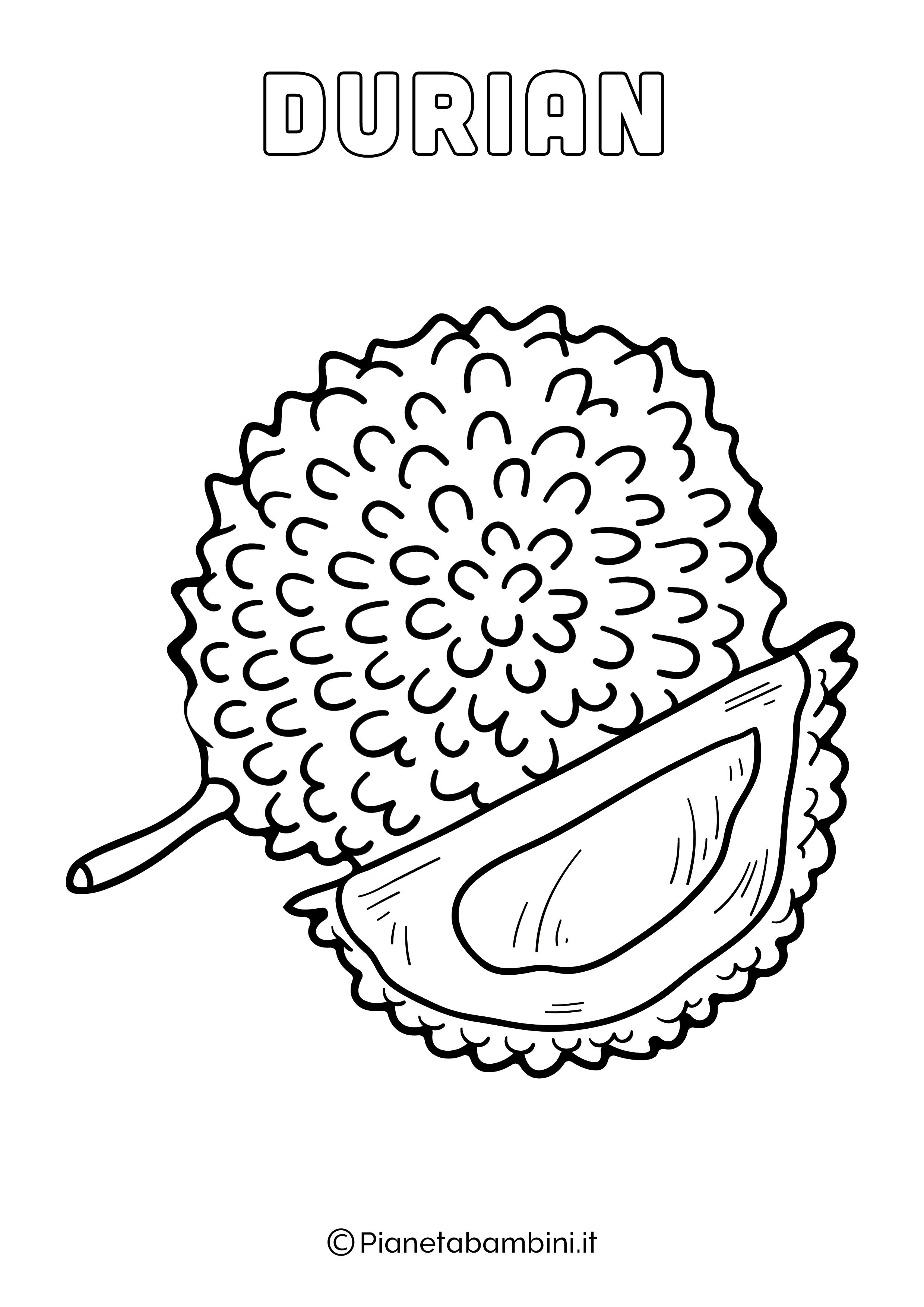 Durian da stampare e colorare