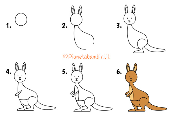 Come disegnare un canguro passo dopo passo