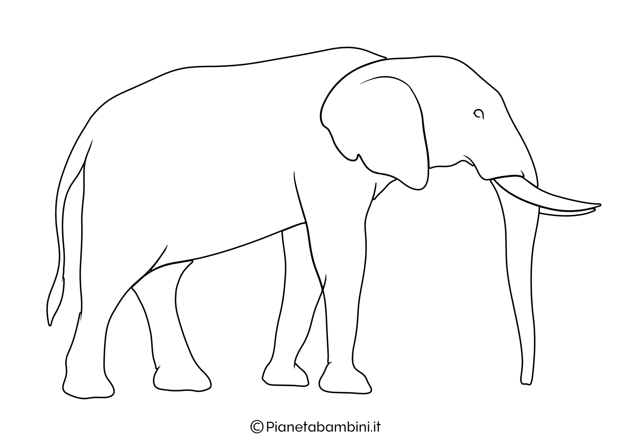 elefante da colorare e stampare