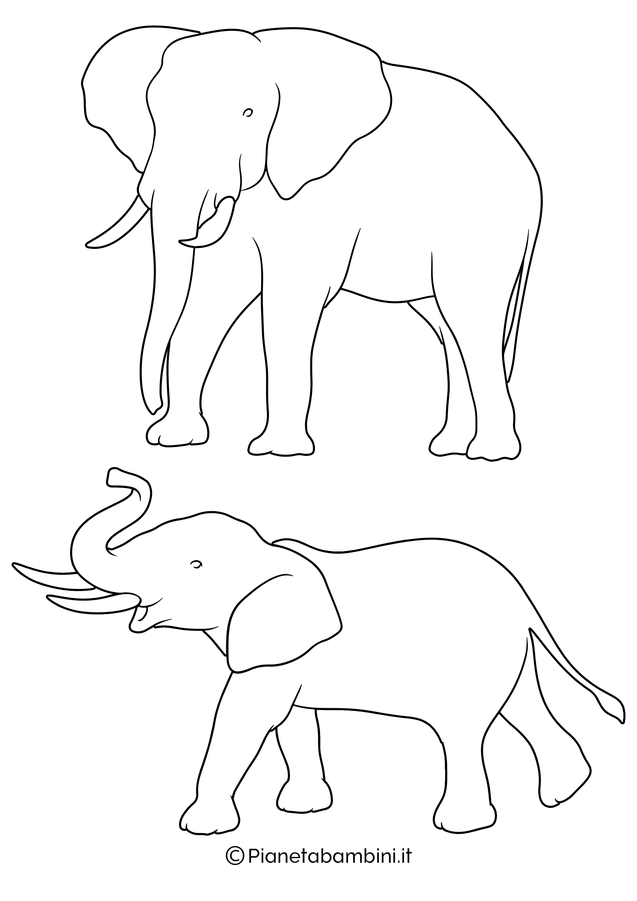 Sagoma elefante medie da stampare 02