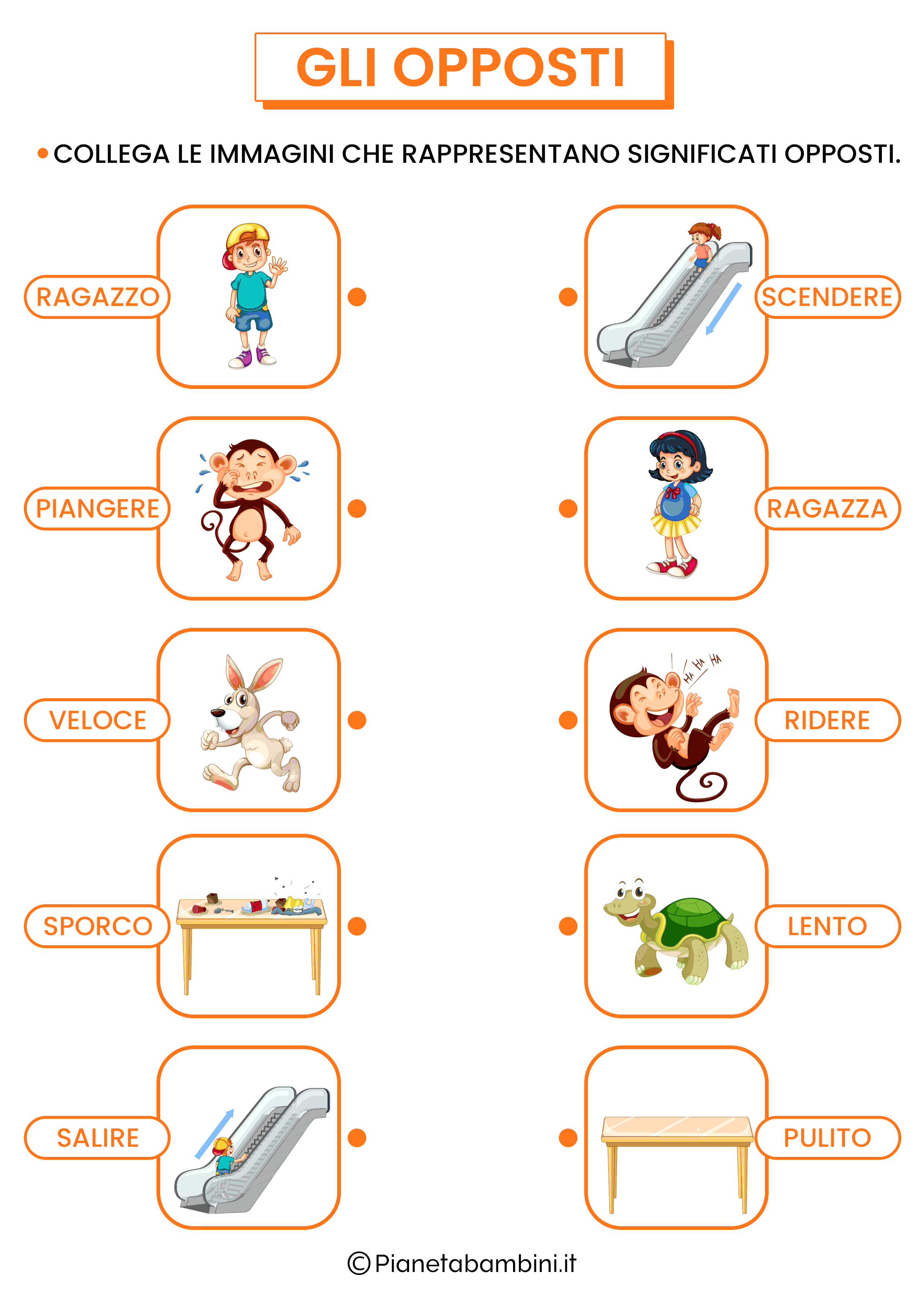 Ravensburger - La Casa Degli Asili - Gioco Degli Opposti (00022498) - Per Bambini 2+ Anni, 1-2 Giocatori