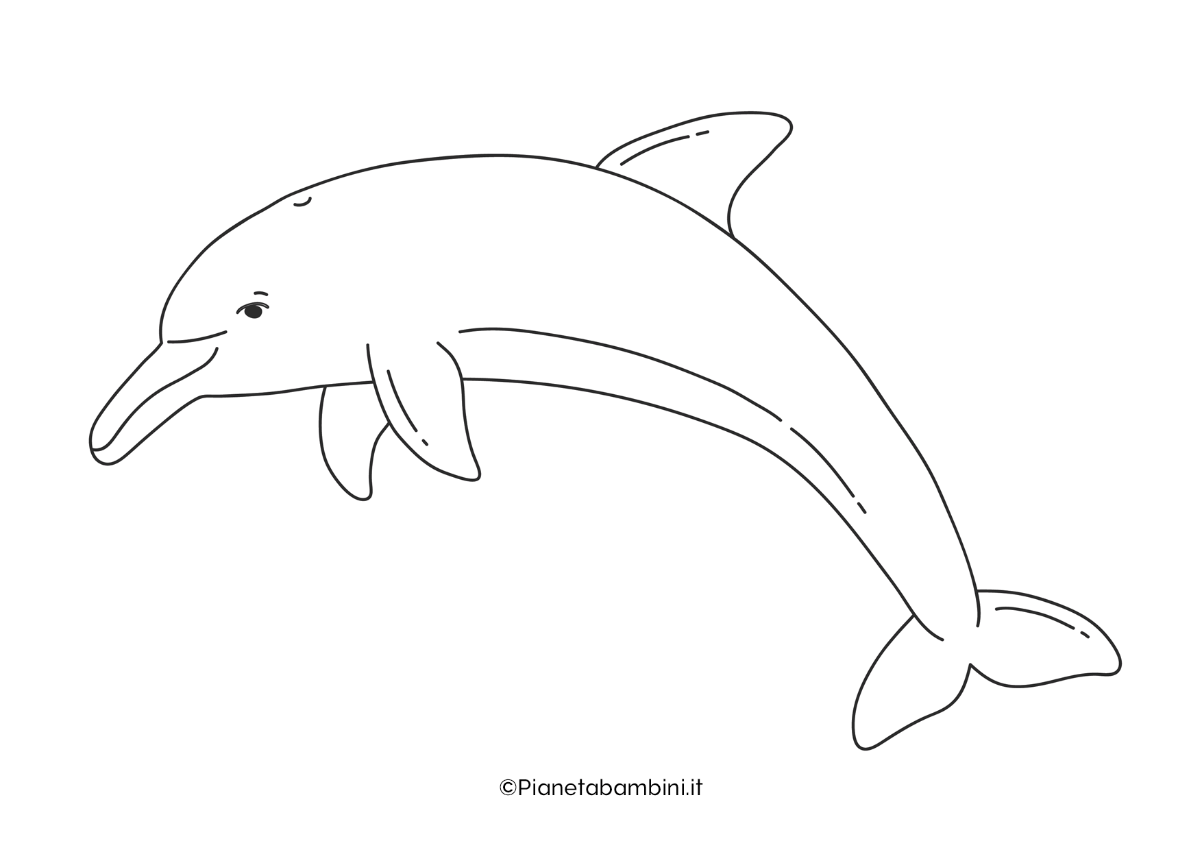 Delfino da colorare