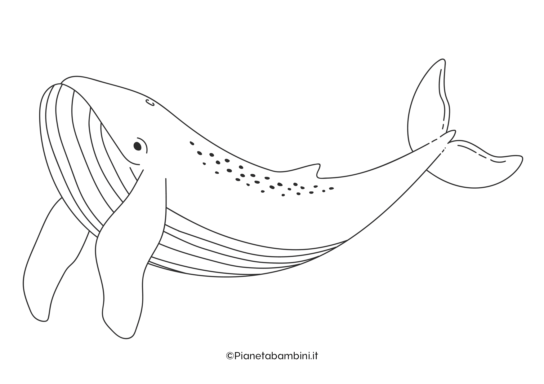 Balena da colorare