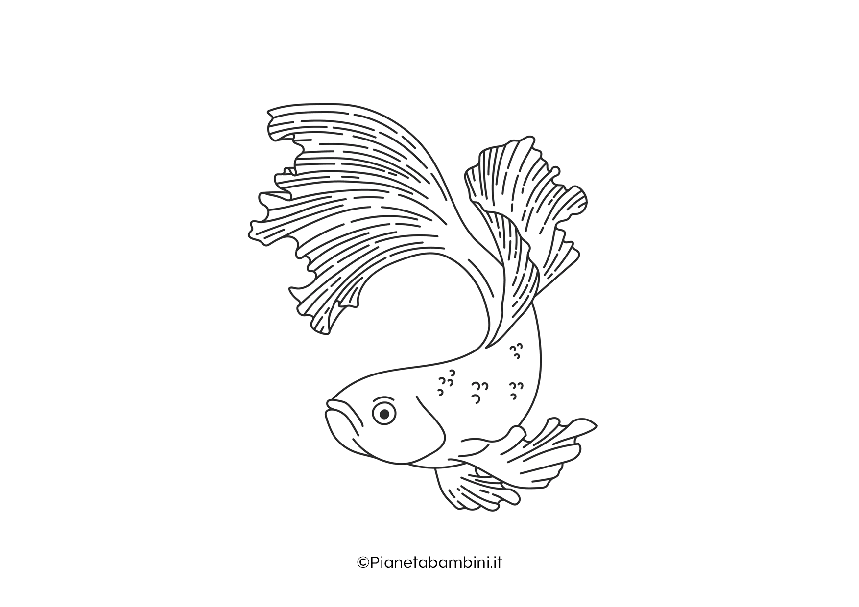 Pesce da colorare