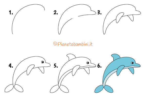 Istruzioni per disegnare un delfino