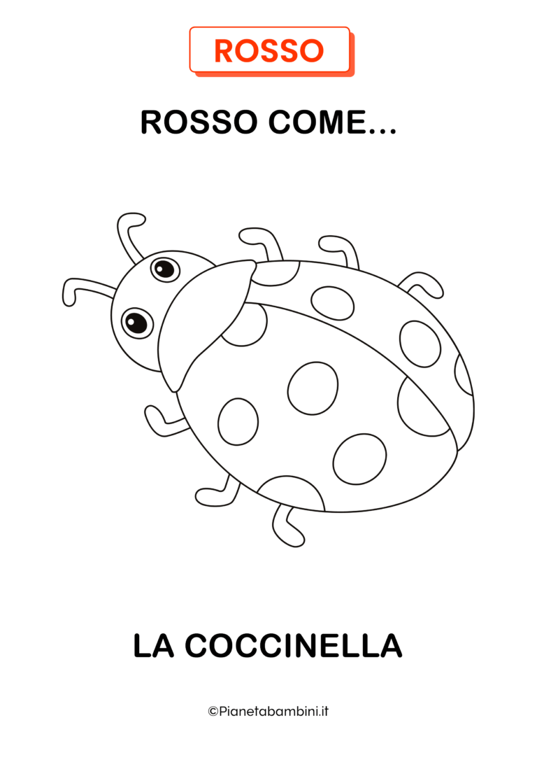 Scatole Per Panettone Basso Tinta Unita - Foto 4