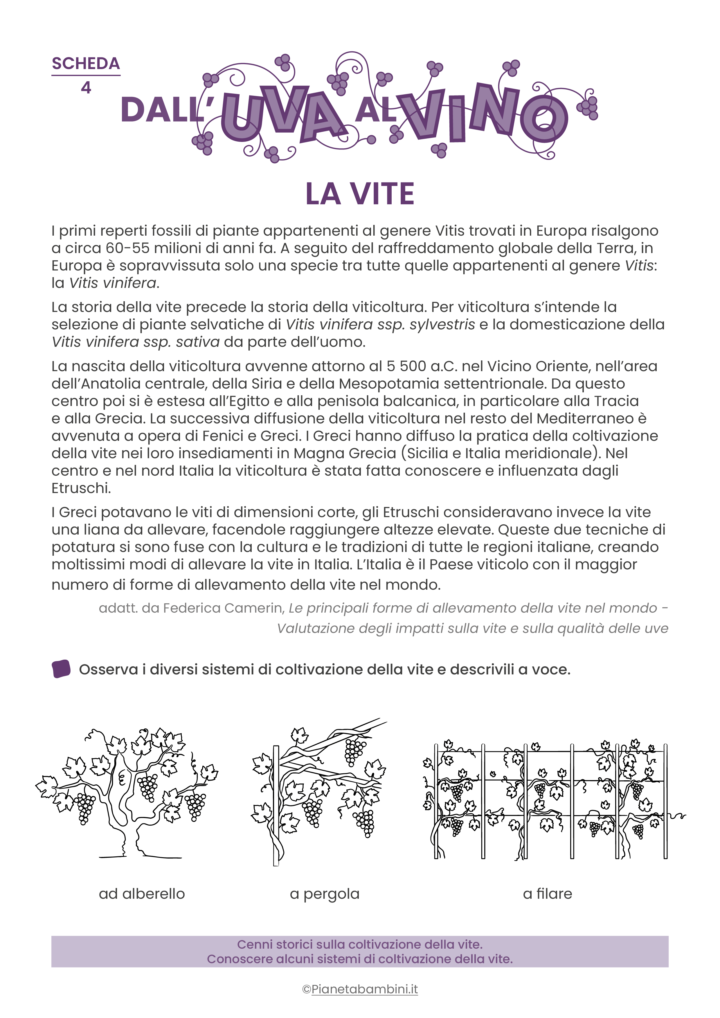 Schede didattiche dall'uva al vino da stampare 04