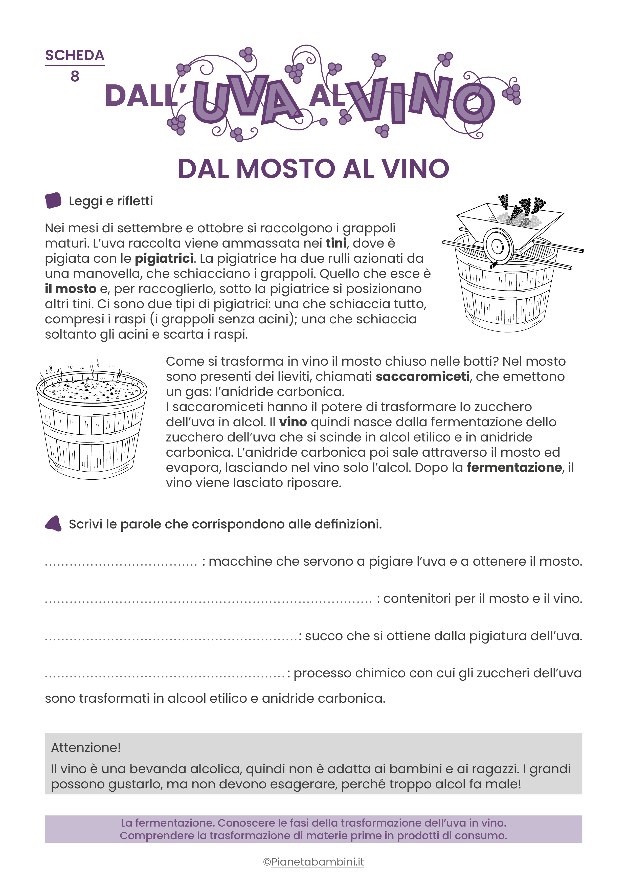 Schede didattiche dall'uva al vino da stampare 08