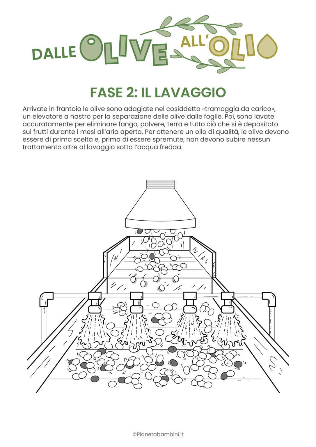 2 Ciotole Pieghevoli In Silicone: Lavabi Portatili Per Campeggio, Lavaggio Piedi, Bucato E Verdura, Resistenti E Compatti (grigio+rosa)