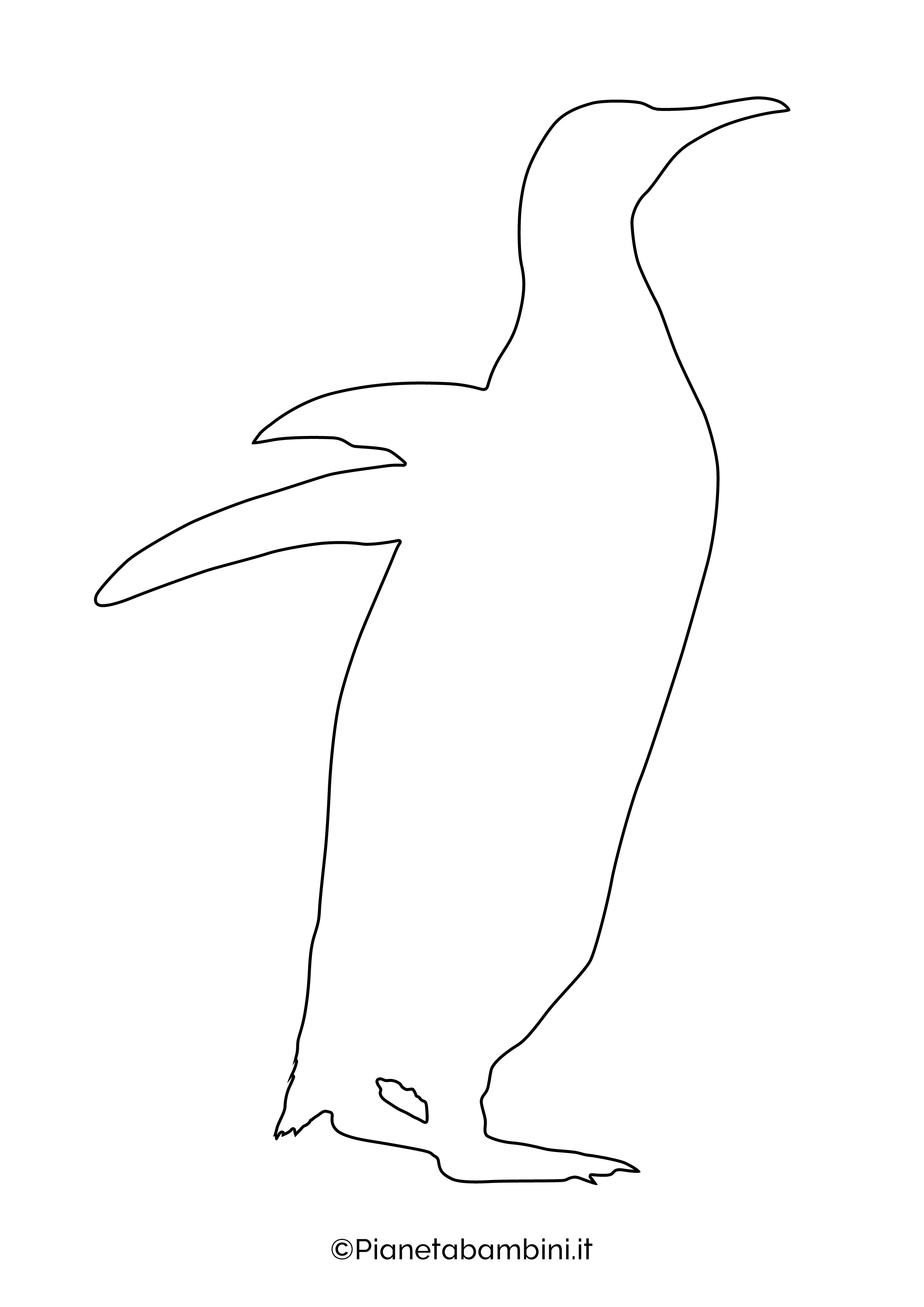 Sagoma pinguino grande da stampare 06