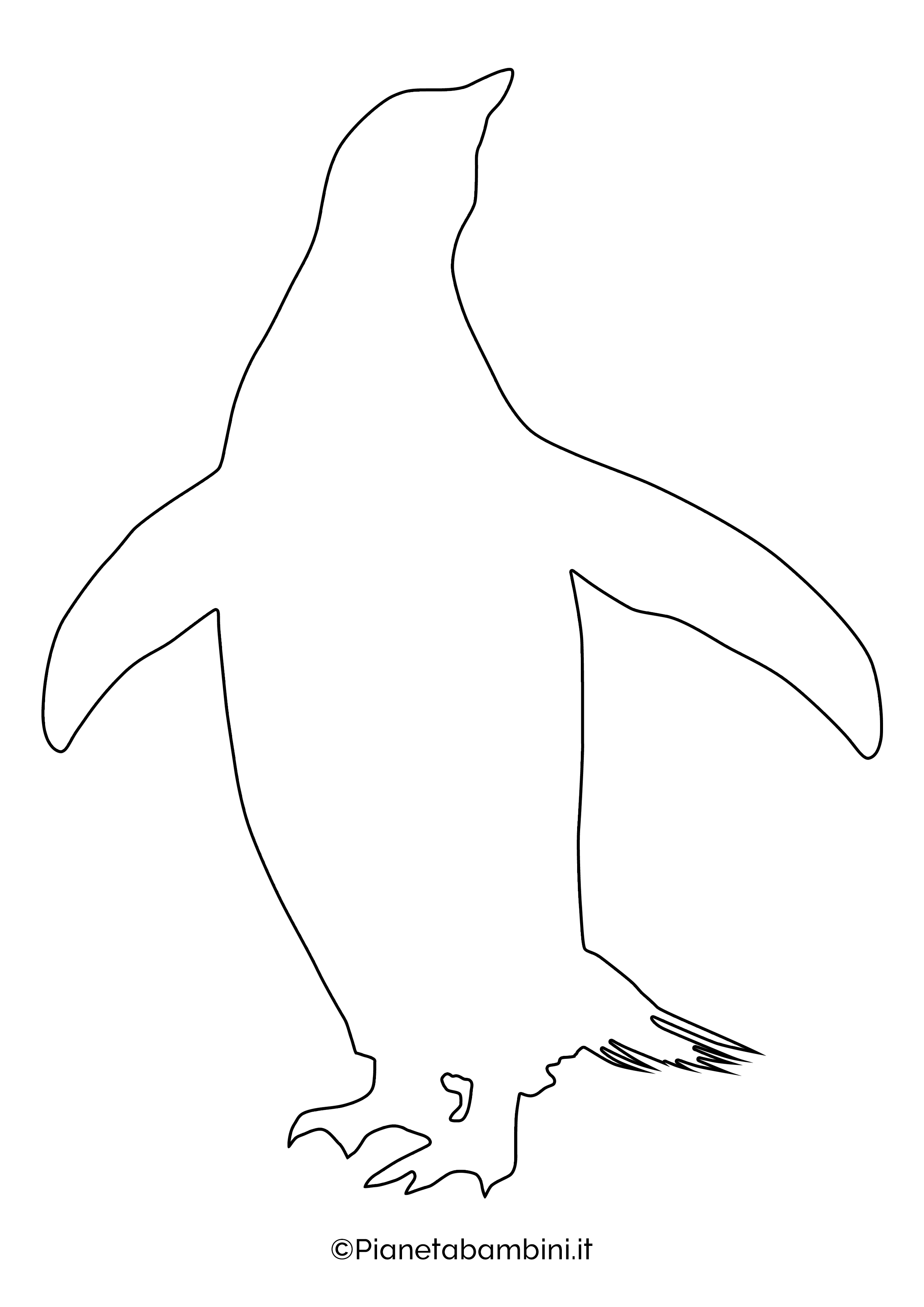 Sagoma pinguino grande da stampare 12