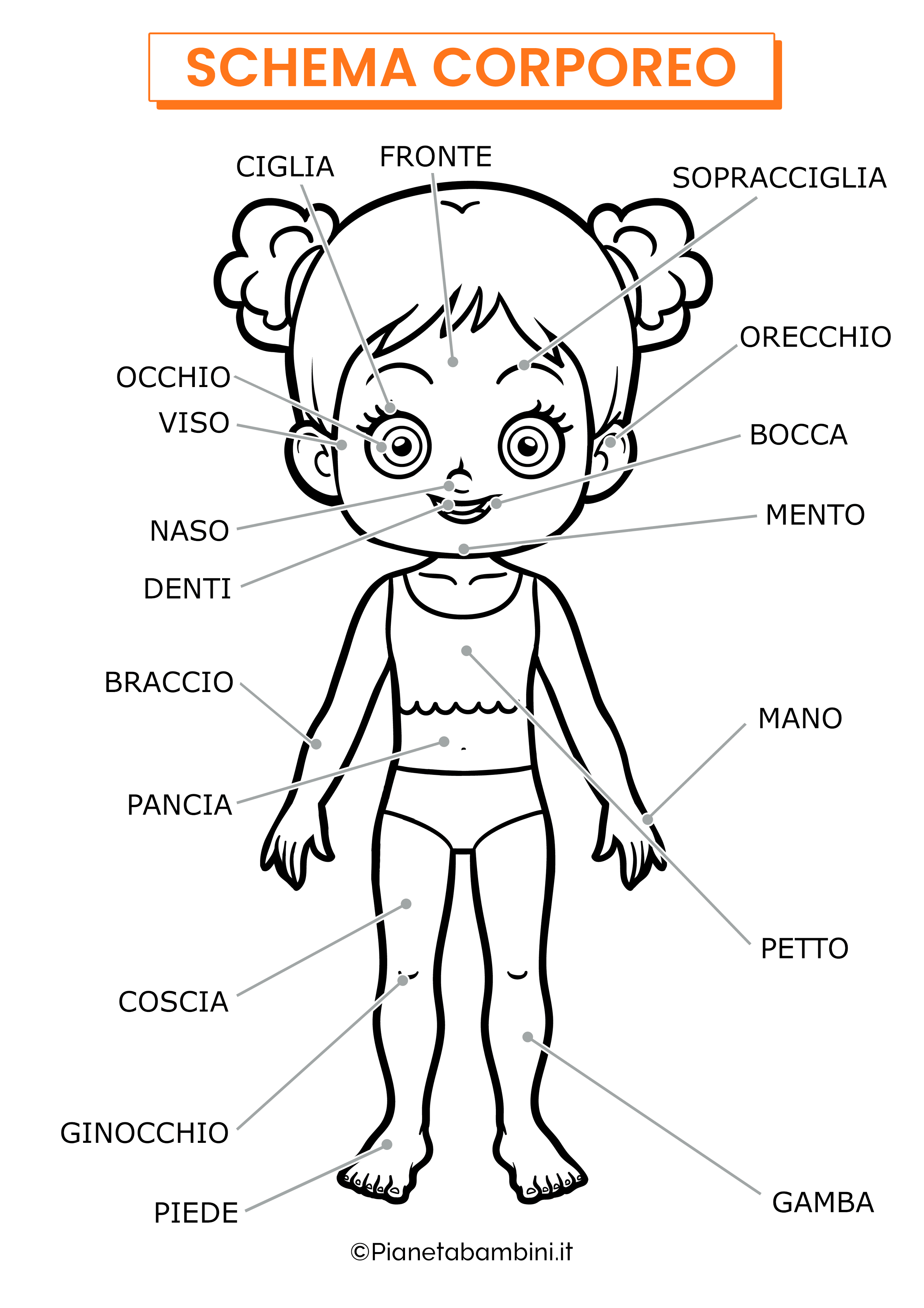 Schema corporeo femminile fronte nomi da colorare