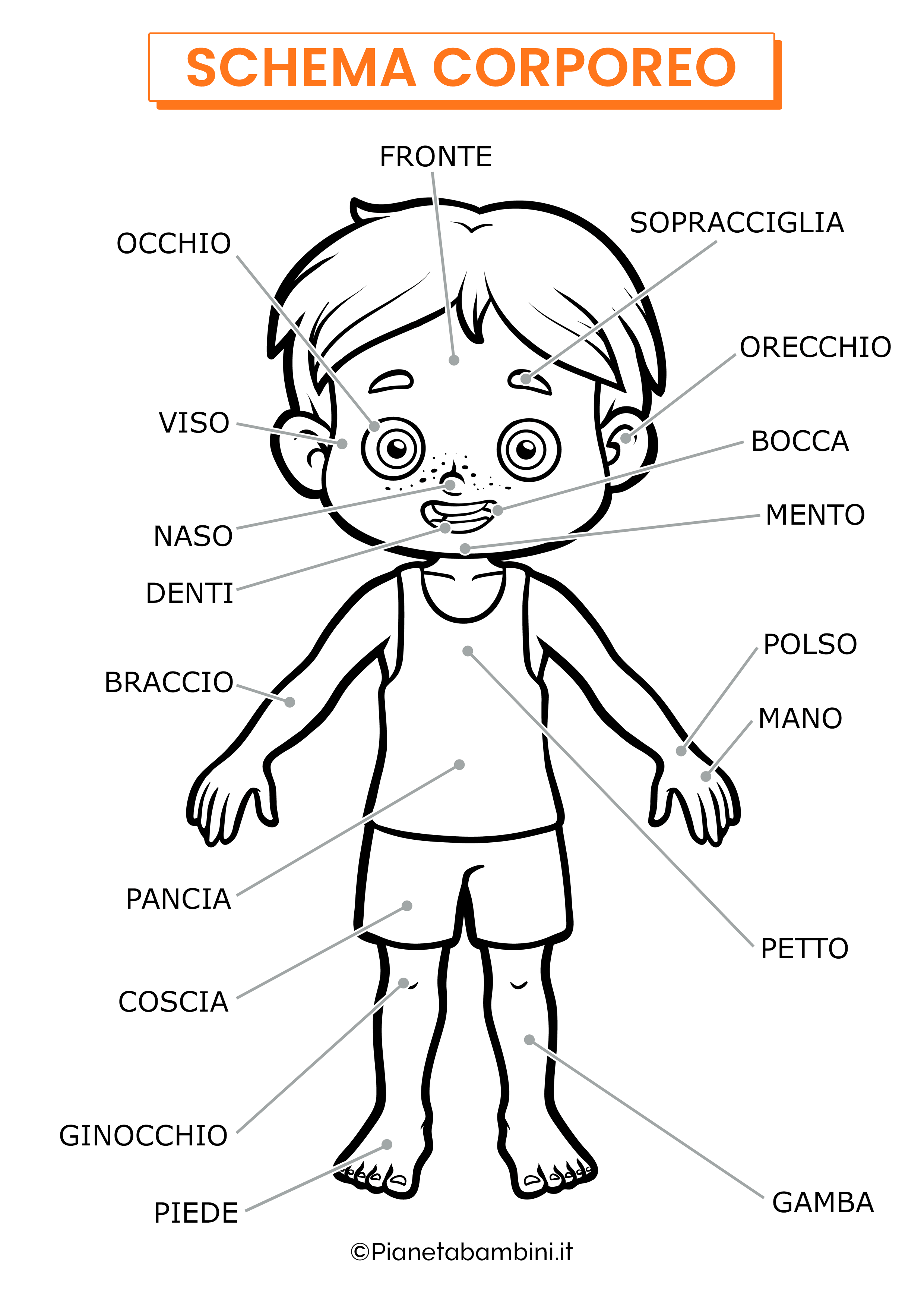 Parti Del Corpo Umano Da Colorare Per Bambini Parti Del Corpo Umano Da Colorare Per Bambini