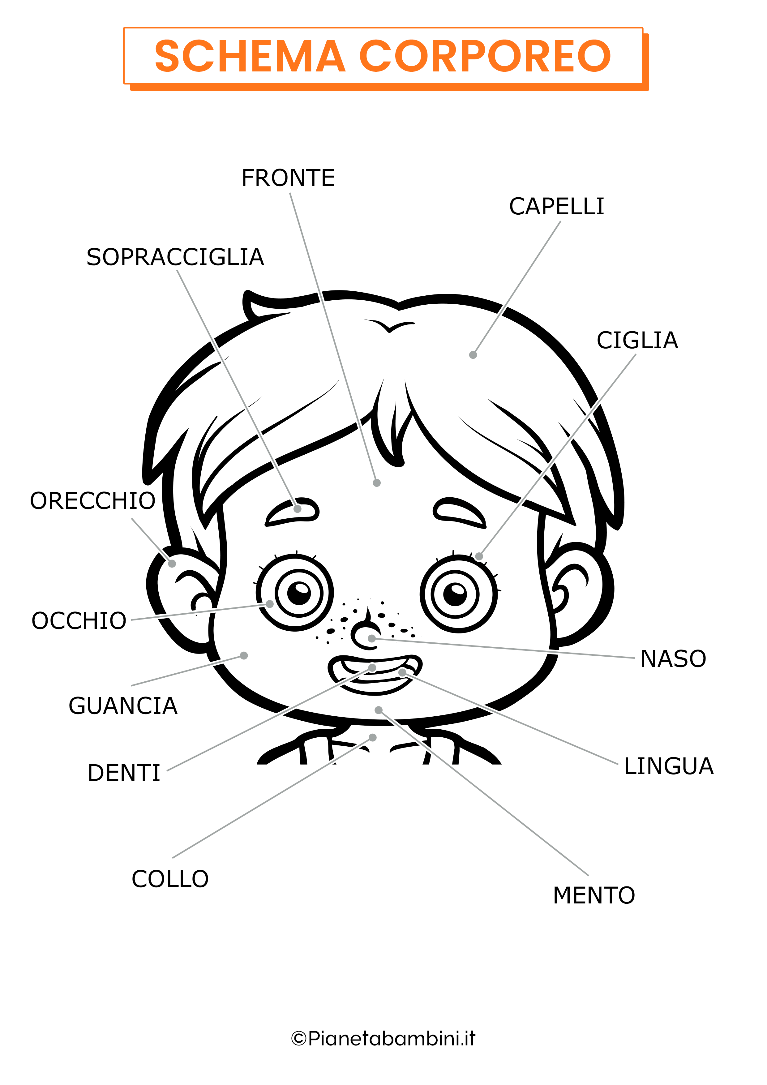 Schema corporeo viso maschile nomi da stampare