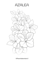 Fiore di azalea da colorare