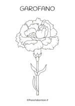 Fiore di garofano da colorare