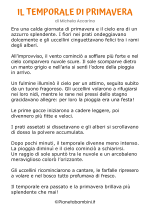 Testo sulla primavera per la scuola primaria 23