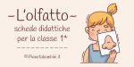Schede didattiche sull'olfatto per la classe prima della Scuola Primaria