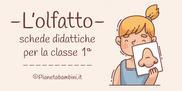 Schede didattiche sull'olfatto per la classe prima della Scuola Primaria