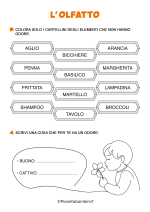 Scheda didattica sull'olfatto per la classe prima della Scuola Primaria n. 6