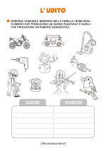Scheda didattica sull'udito per la classe prima della Scuola Primaria n. 5