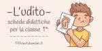 Schede didattiche sull'udito per la classe prima della Scuola Primaria
