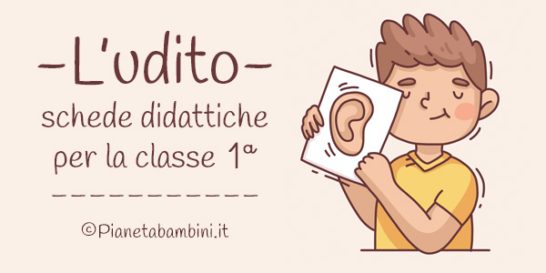 Schede didattiche sull'udito per la classe prima della Scuola Primaria
