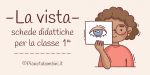Schede didattiche sulla vista per la classe prima della Scuola Primaria