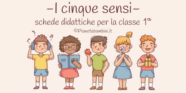 Schede didattiche sui cinque sensi per la classe prima della Scuola Primaria