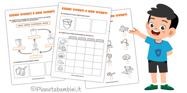 Schede didattiche sugli esseri viventi e non viventi per la classe prima della Scuola Primaria