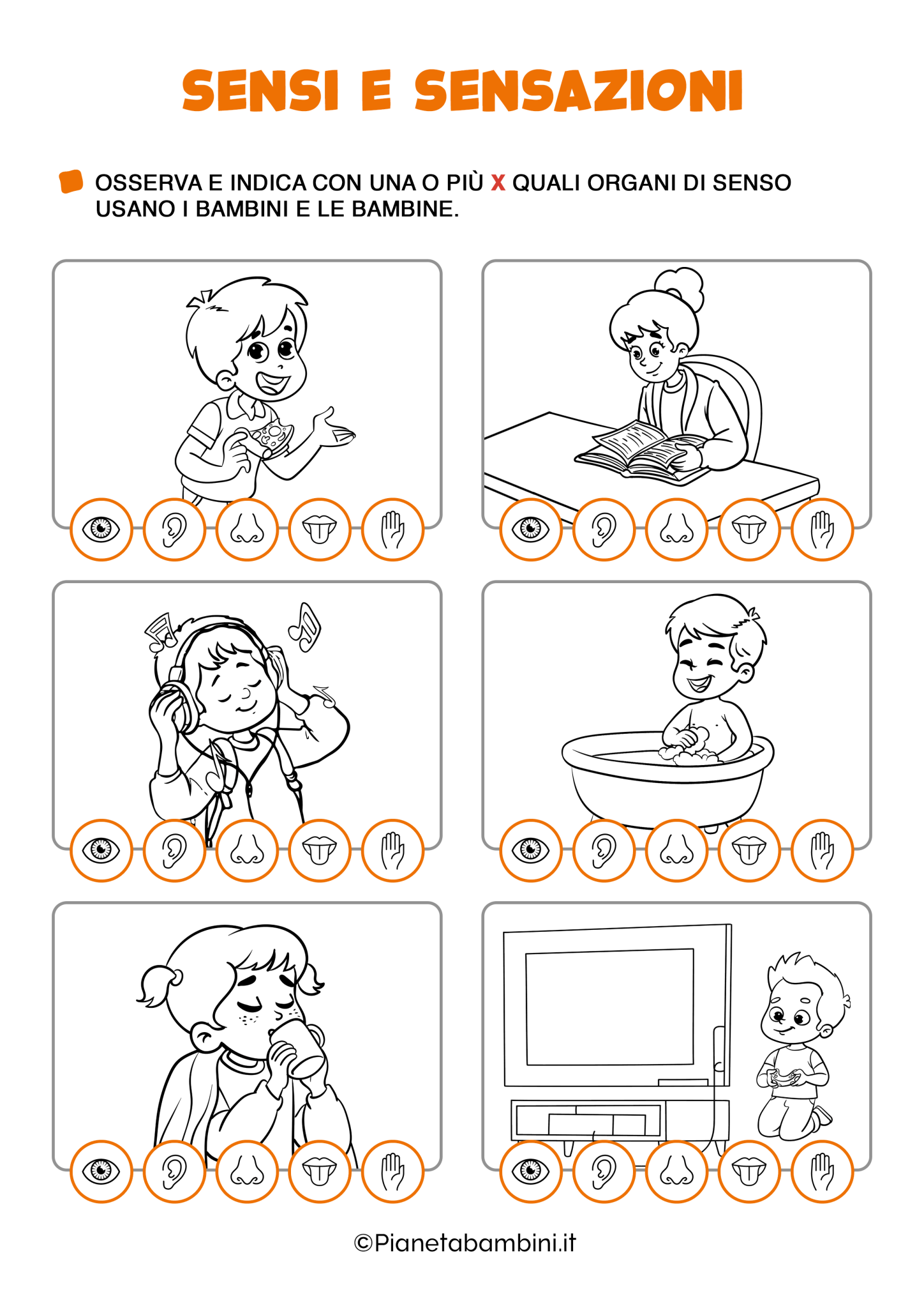 i 5 sensi scuola primaria pdf