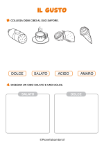 Scheda didattica sul gusto per la classe prima della Scuola Primaria nr. 4