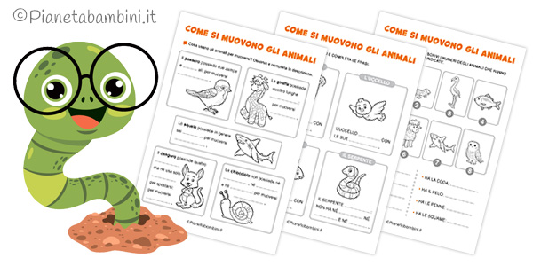 Schede didattiche su come si muovono gli animali per la classe prima e seconda della Scuola Primaria