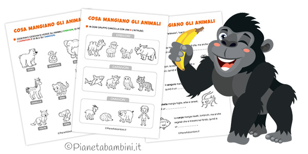 Schede didattiche sugli animali erbivori, carnivori e onnivori per la classe prima e seconda
