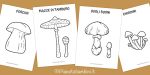 Disegni di funghi da stampare e colorare