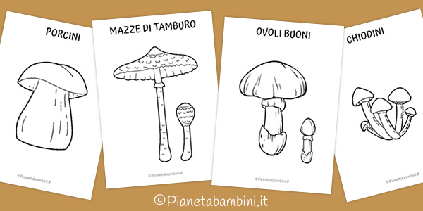 Disegni di funghi da stampare e colorare