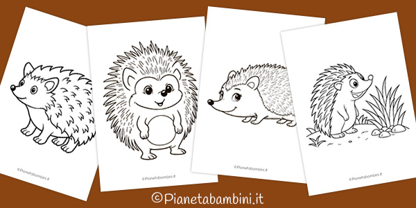 Disegni di ricci da stampare e colorare