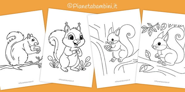 Disegni di scoiattoli da stampare e colorare