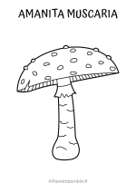 Disegno dei funghi amanita muscaria da colorare