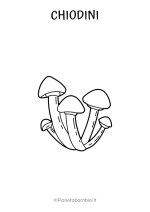 Disegno dei funghi chiodini da colorare