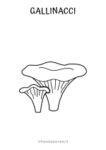 Disegno dei funghi gallinacci da colorare