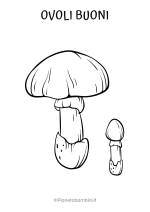 Disegno dei funghi ovoli buoni da colorare