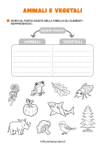 Scheda didattica su animali e vegetali per la classe prima nr. 4