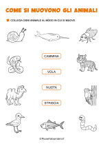 Schede didattiche su come si muovono gli animali per la classe prima nr. 3