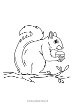 Disegno di scoiattolo da stampare e colorare nr. 01