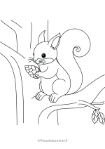 Disegno di scoiattolo da stampare e colorare nr. 08