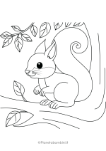 Disegno di scoiattolo da stampare e colorare nr. 09