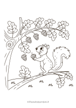 Disegno di scoiattolo da stampare e colorare nr. 12