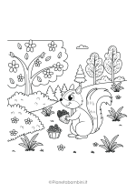 Disegno di scoiattolo da stampare e colorare nr. 14